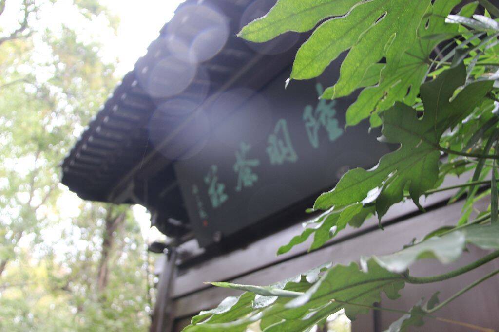 1731380166546376.jpg 1731380166546376.jpg