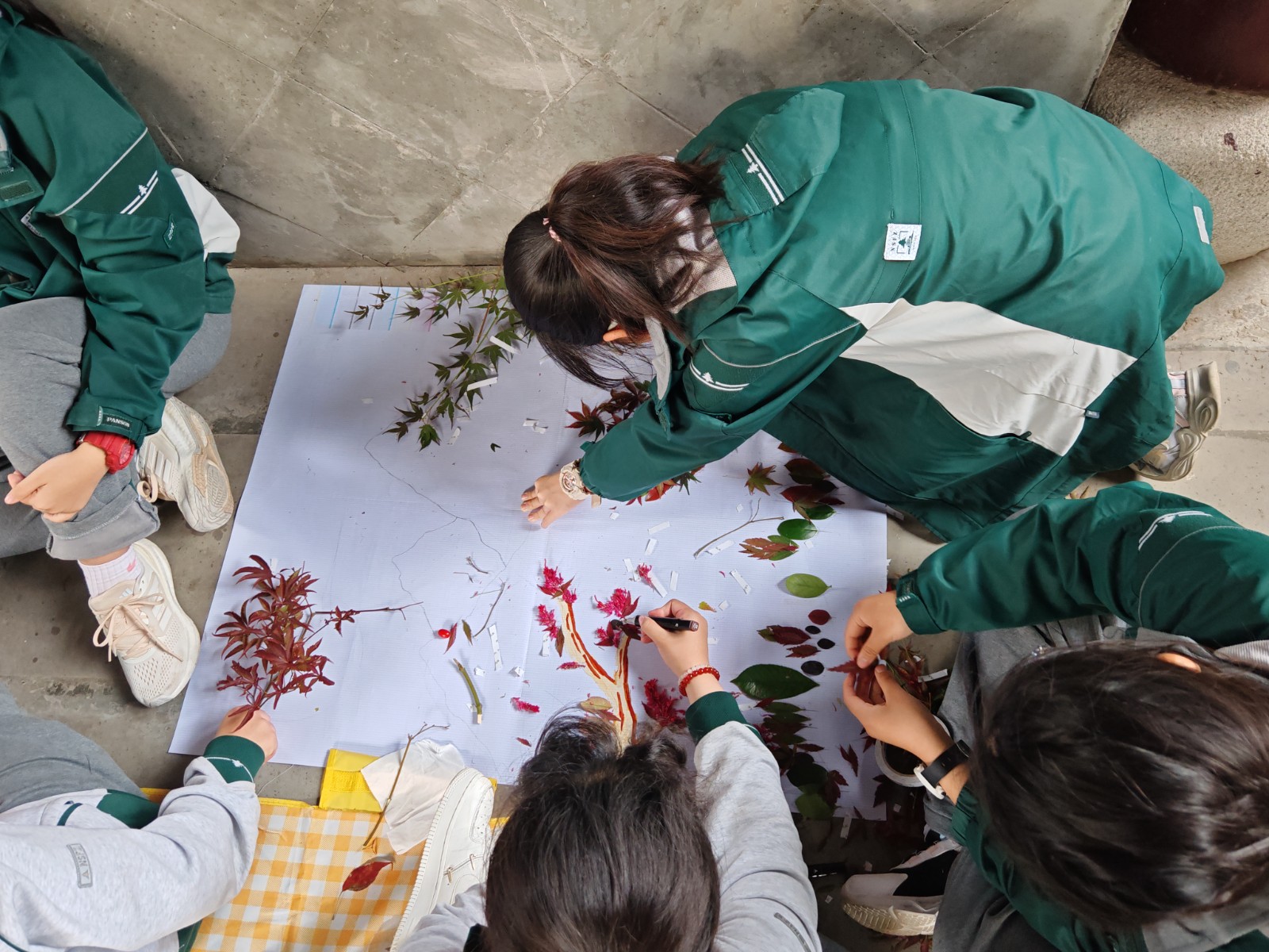 1731380166992571.jpg 1731380166992571.jpg