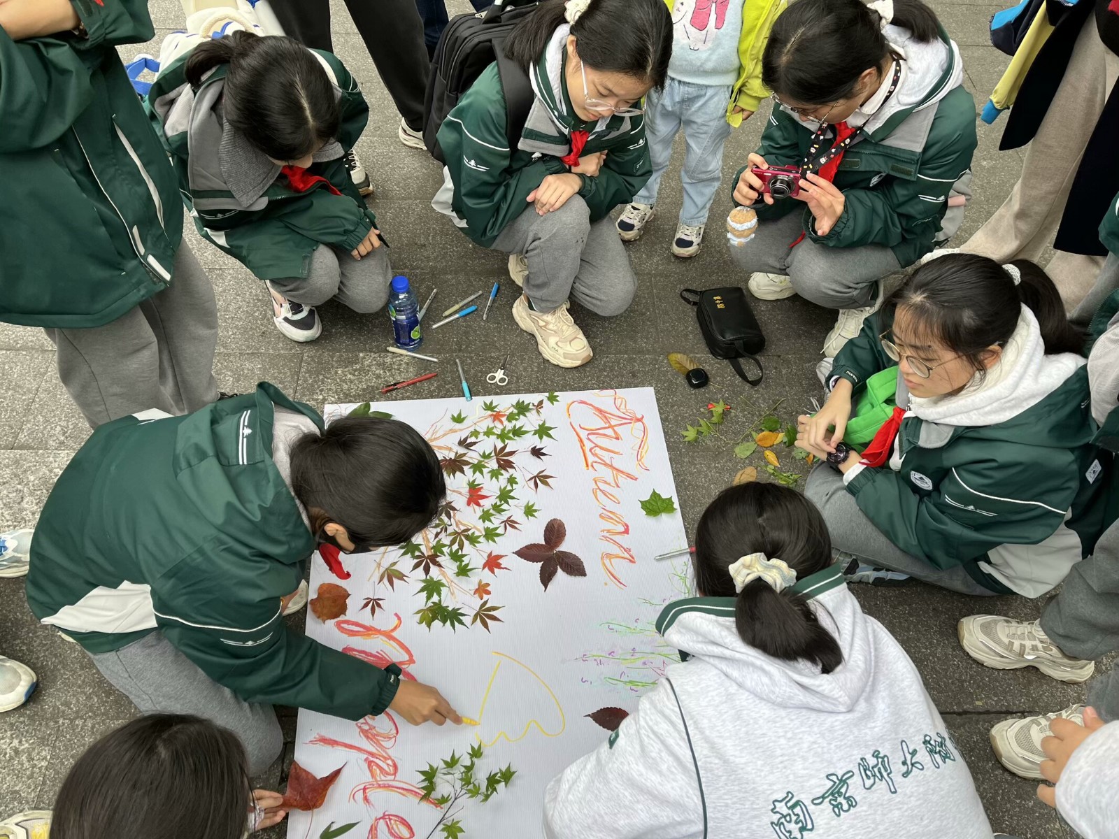 1731380167664547.jpg 1731380167664547.jpg