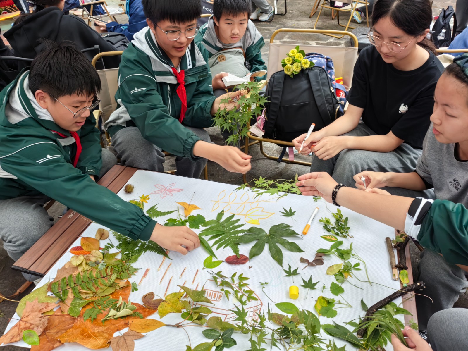 1731380170108887.jpg 1731380170108887.jpg