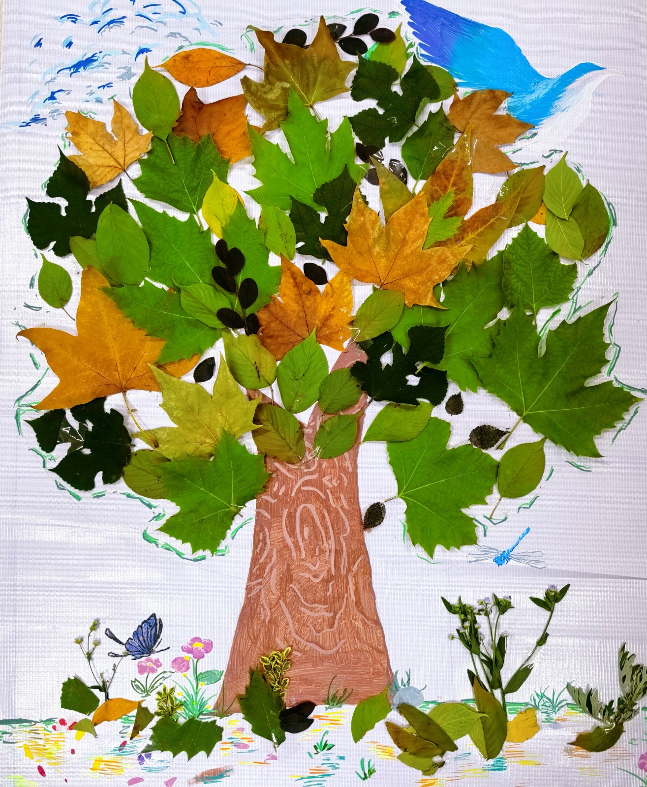 1731380454770076.jpg 1731380454770076.jpg