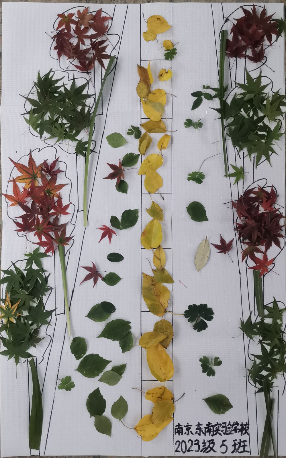 1731380455790429.jpg 1731380455790429.jpg