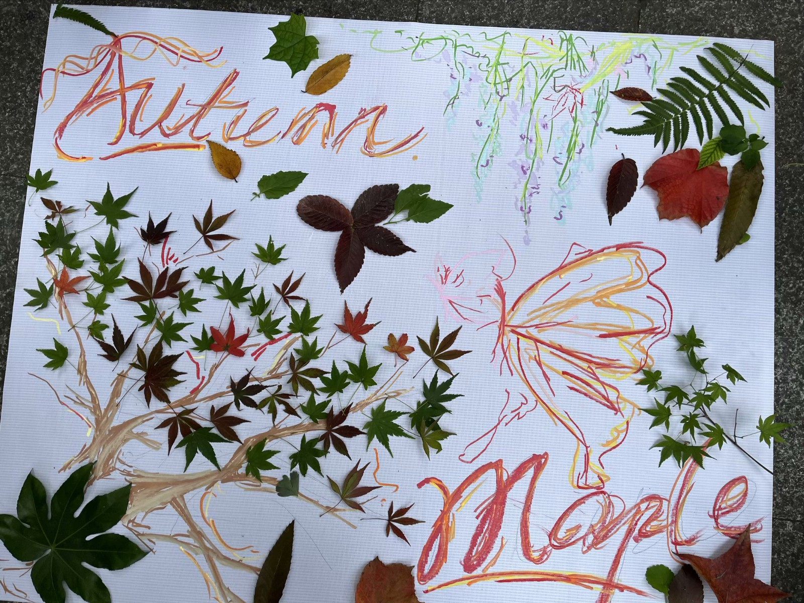 1731380457733627.jpg 1731380457733627.jpg