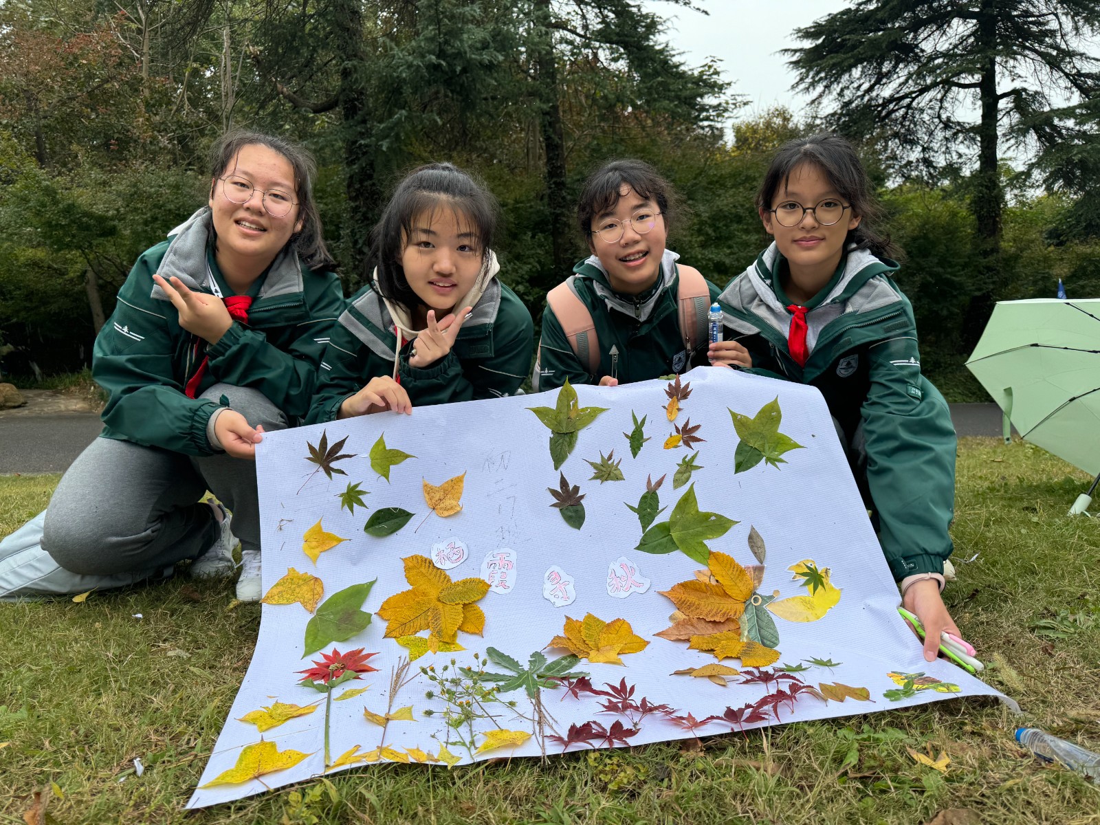 1731380458988677.jpg 1731380458988677.jpg