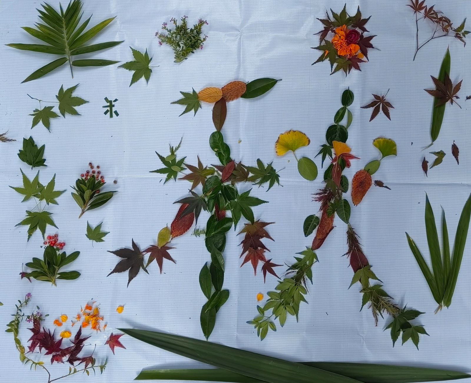 1731380459690525.jpg 1731380459690525.jpg