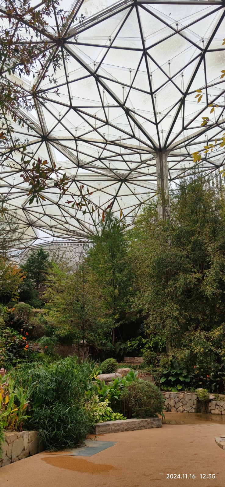 1732000449746217.jpg 1732000449746217.jpg