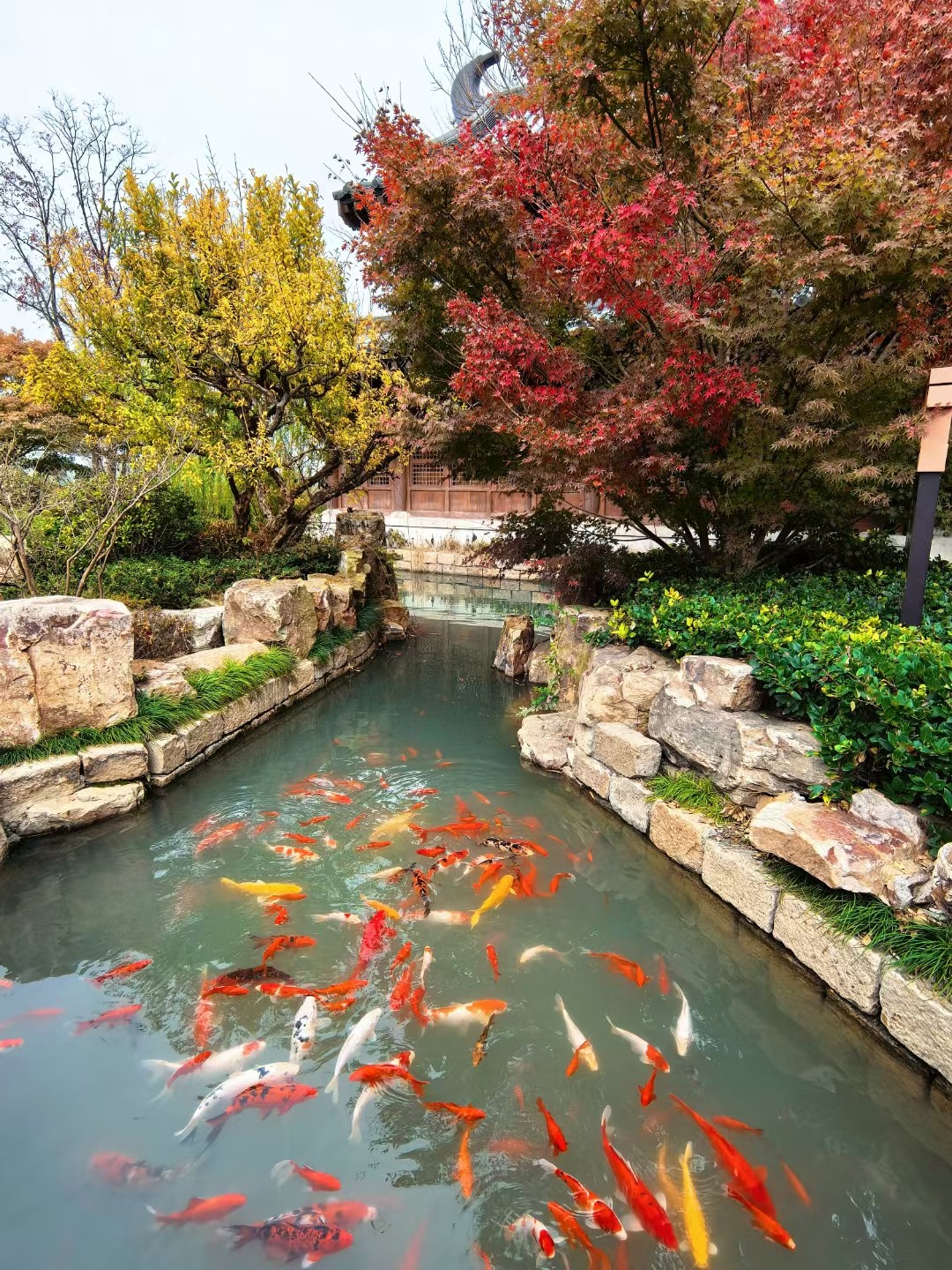 1732000659574775.jpg 1732000659574775.jpg