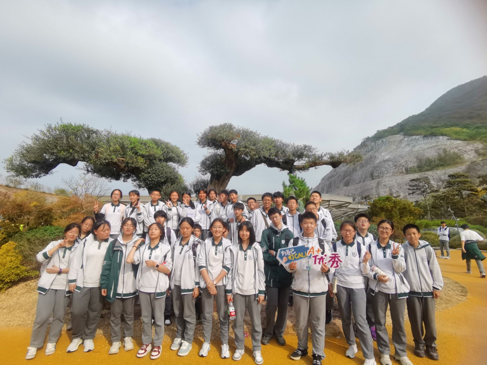 1732001362919181.jpg 1732001362919181.jpg