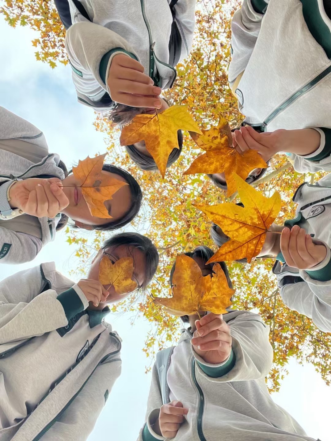 1732001526223629.jpg 1732001526223629.jpg