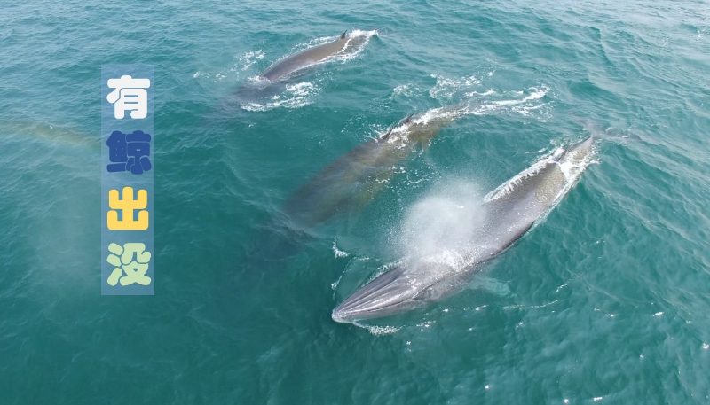 1732001924997210.jpg 1732001924997210.jpg