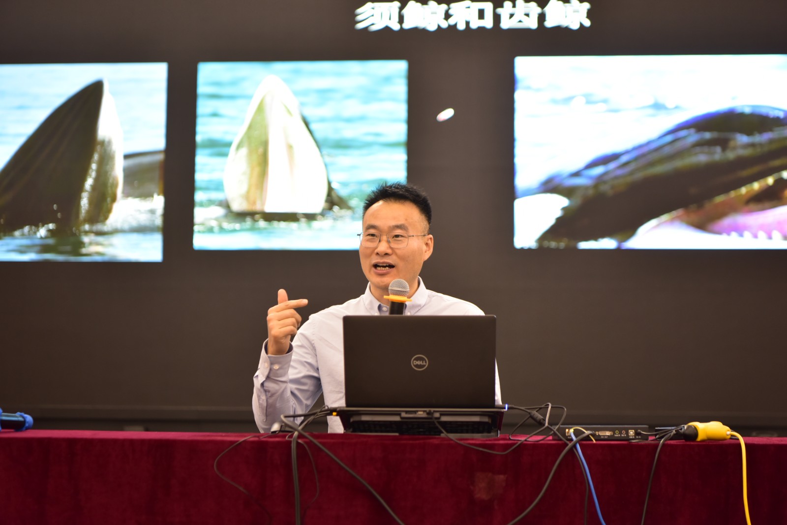 1732001979893000.jpg 1732001979893000.jpg