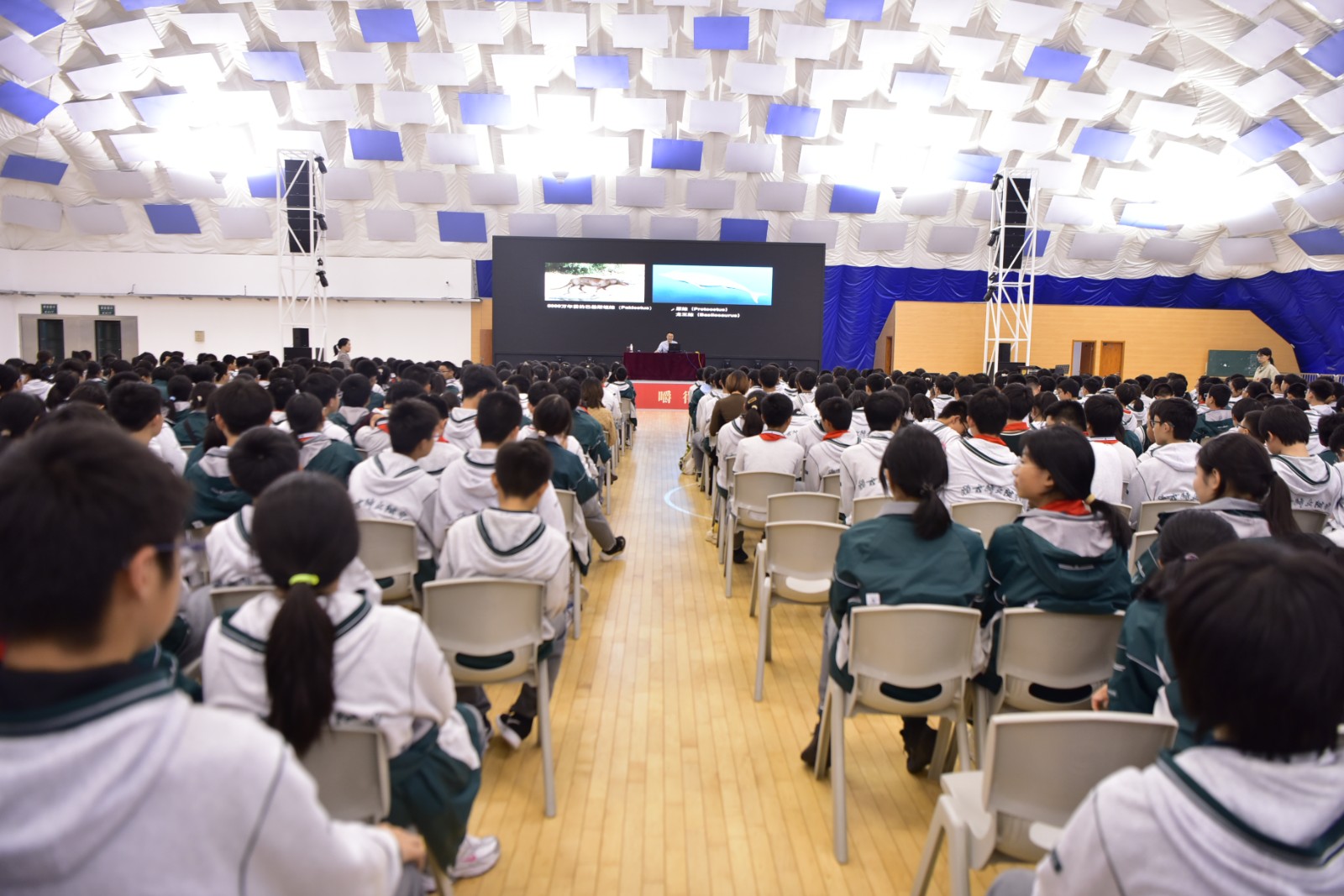 1732001980581586.jpg 1732001980581586.jpg