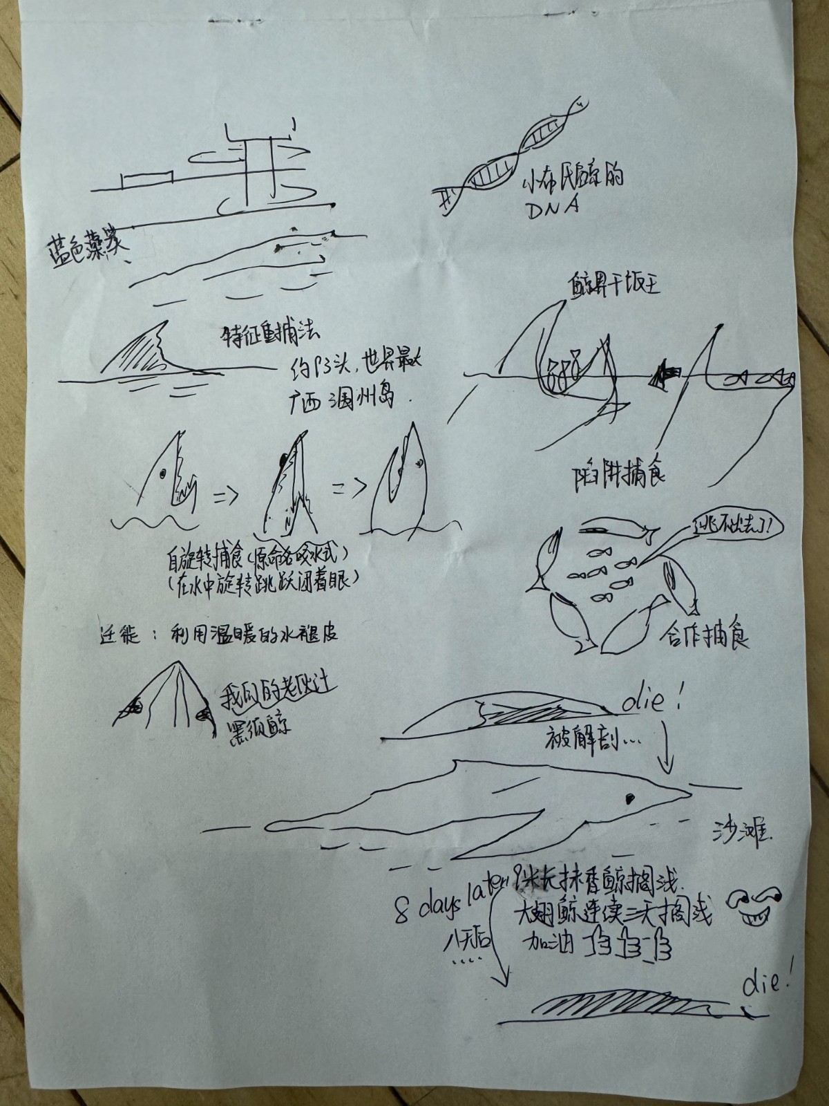 1732001981444195.jpg 1732001981444195.jpg