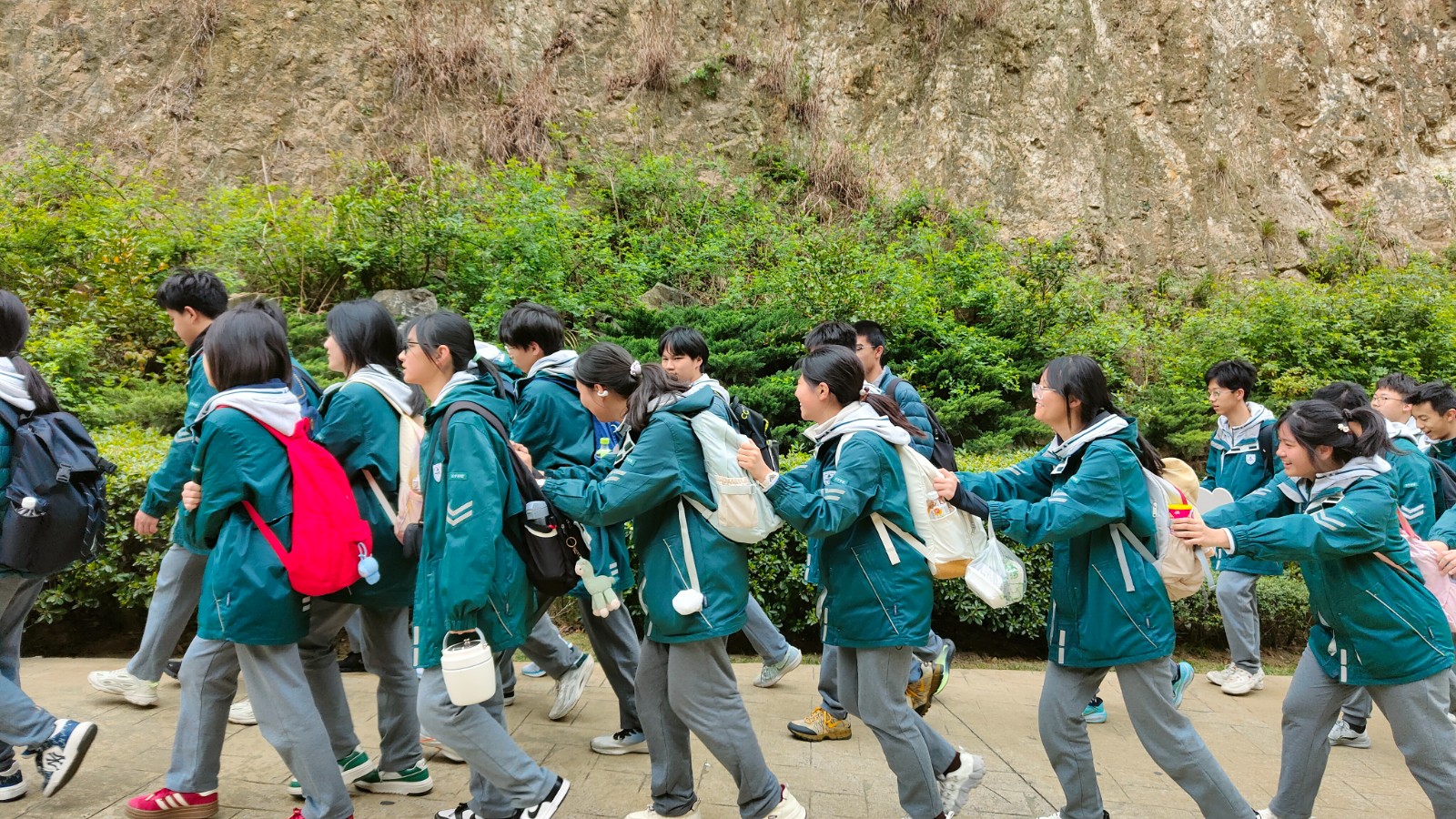 1744082319890718.jpg 1744082319890718.jpg