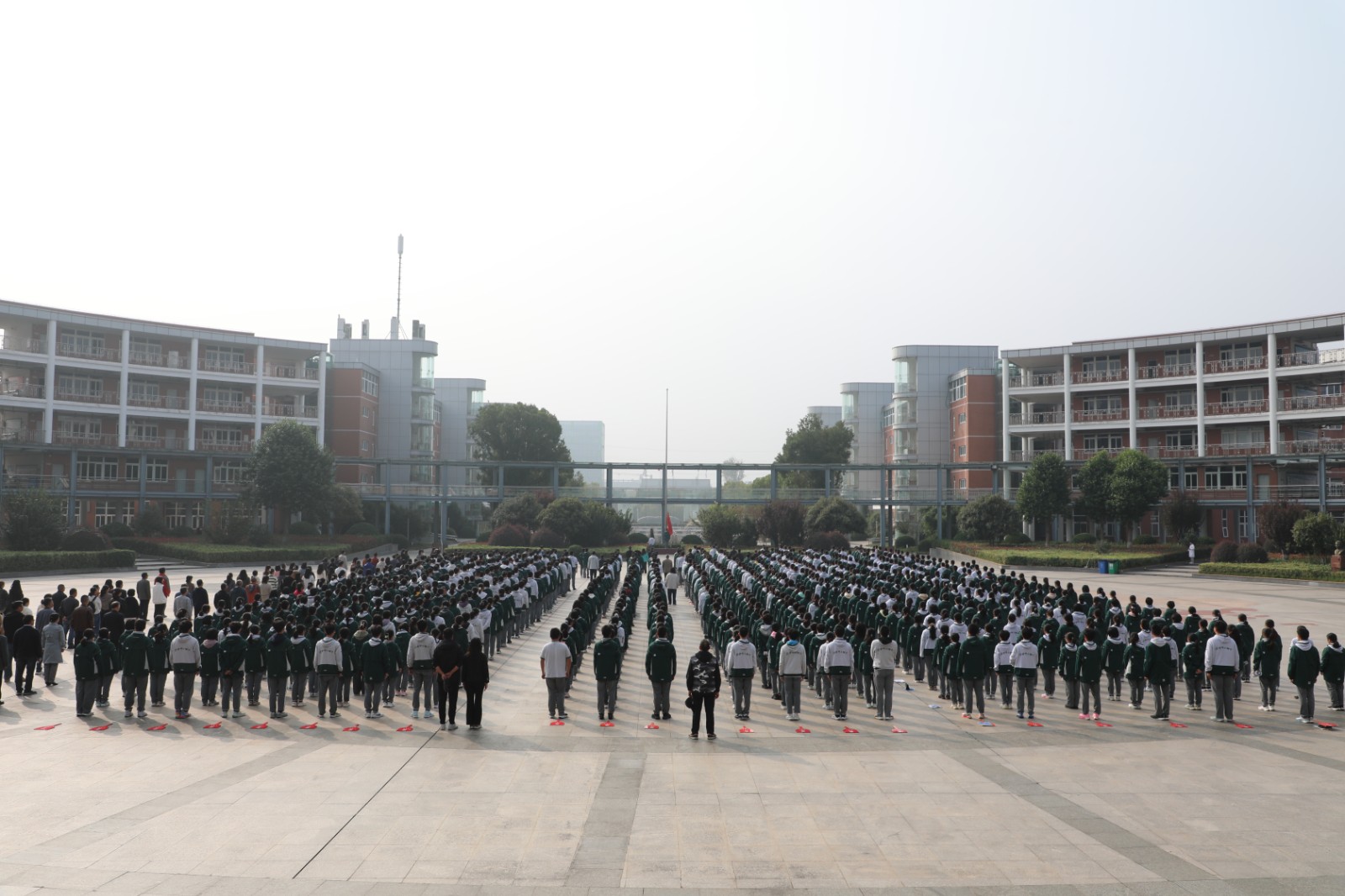 1761549700500576.jpg 1.JPG