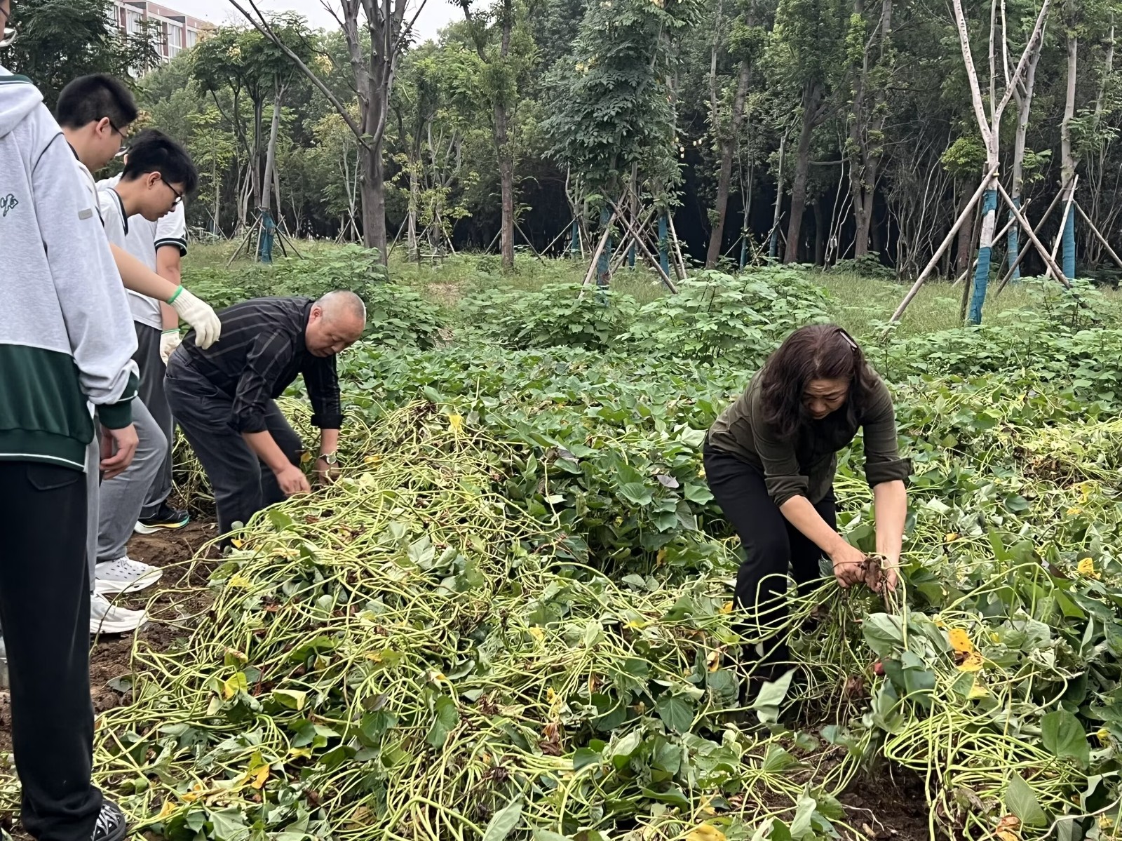 1760681920962206.jpg 2.jpg