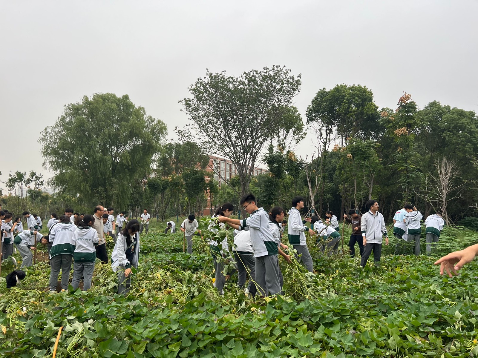 1760681837893389.jpg 1.jpg